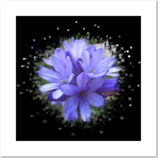 blue flowers, flower, blooms, splash, nature Posters and Art